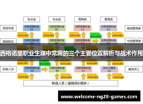 西格诺里职业生涯中常踢的三个主要位置解析与战术作用